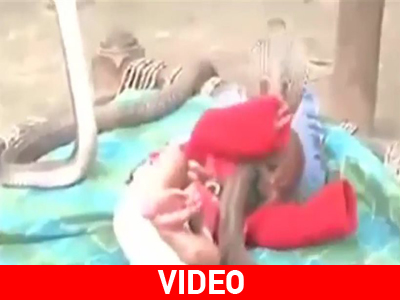 Κόμπρες φύλακες για μωρό