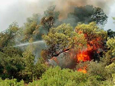 Πυρκαγιά στην Κόνιτσα Ιωαννίνων