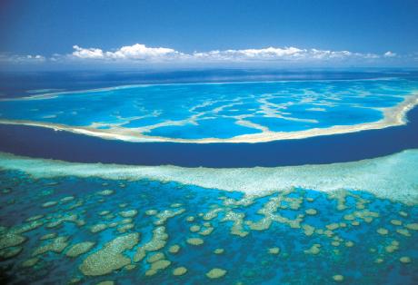 Ο Μεγάλος Κοραλλιογενής Ύφαλος, έχει μείνει μισός Ο Μεγάλος Κοραλλιογενής Ύφαλος, έχει μείνει μισός