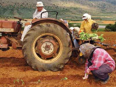 Επιστροφή του ειδικού φόρου πετρελαίου στους αγρότες