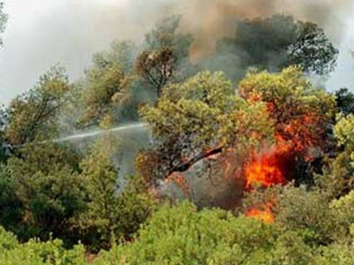 Σουφλιάς: Όπου ήταν δάσος θα παραμείνει δάσος