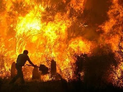 Καμένη γη στην Αττική, αποκαΐδια στην κυβέρνηση