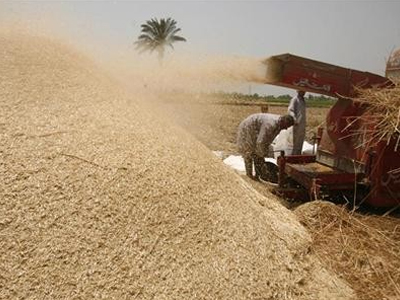 Εκτοξεύονται οι τιμές των σιτηρών λόγω Ρωσίας