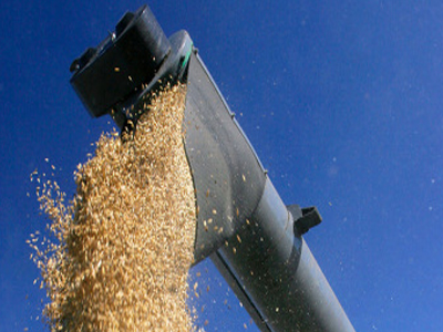 Διεθνής ανησυχία για την αγορά των σιτηρών