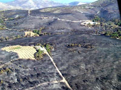 Υπο προστασία τα καμένα της Αττικής