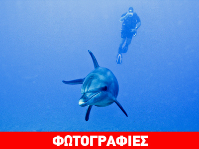 Ελληνικές θάλασσες, οι καθαρότερες του κόσμου