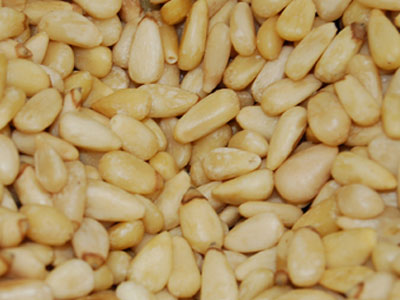 Μύκητες και έντομα σε φορτίο κουκουναρόψιχας