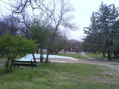 Αλλάζει το δάσος Κουρί Κοζάνης