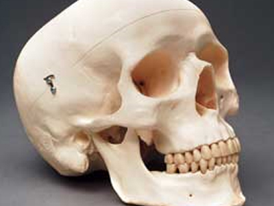 Μυστήριο με ανθρώπινο κρανίο στην Ημαθία