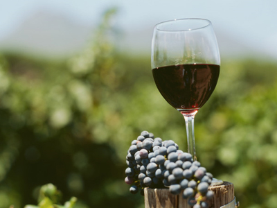 Συνάντηση για το κρασί