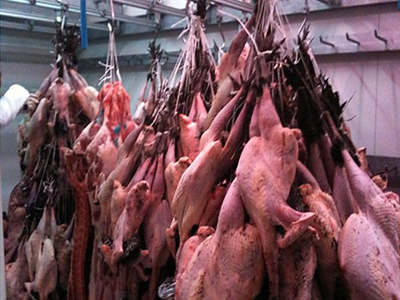 Επίθεση της Γαλλίας στην Γερμανία για το κρέας