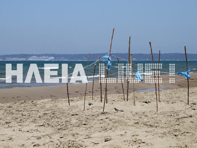 Ηλεία: Γεννούν οι χελώνες καρέτα – καρέτα