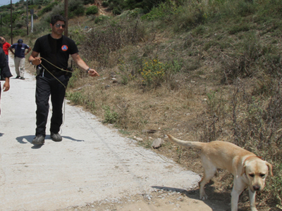 Κάτω Σαμικό: Άκαρπες οι έρευνες για τον εντοπισμό ηλικιωμένης