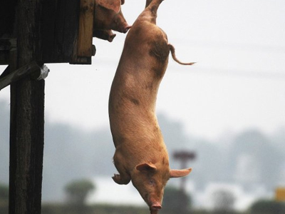 Βουτιά από ψηλά…