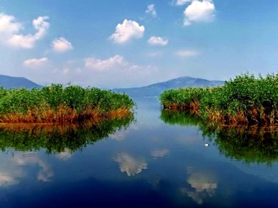 Βραβεύτηκε η Εταιρεία Προστασίας Πρεσπών