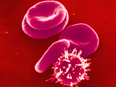 Η Επανάσταση των Βλαστοκυττάρων στην Αισθητική και Επανορθωτική Χειρουργική