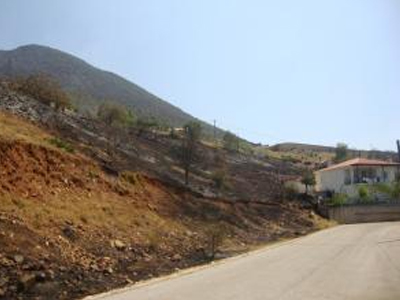 Υπό πλήρη έλεγχο η πυρκαγιά στη Καλαμπάκα