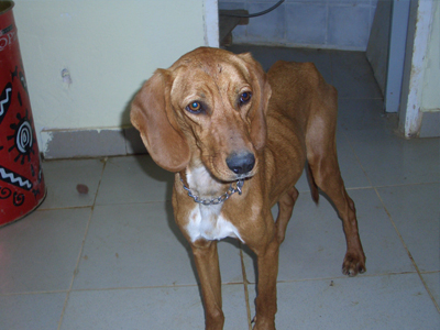 Ένα σπίτι για τη γλυκιά Λάουρα