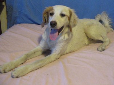 Ο ιππότης που θα κλέψει τις καρδιές σας!