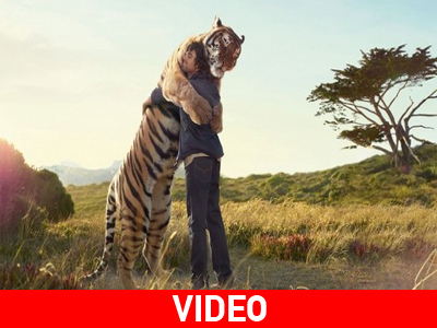 Αγκαλιά με ένα λιοντάρι