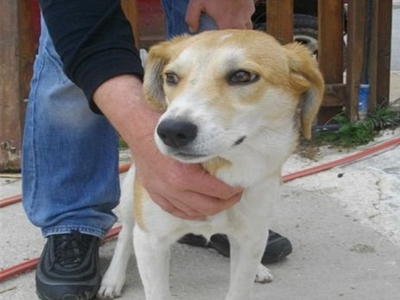 Χαρίζεται η Λουίζ