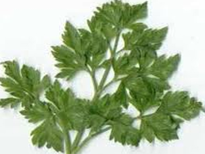 Διώξε πανάδες και μαύρα στίγματα με μαϊντανό!