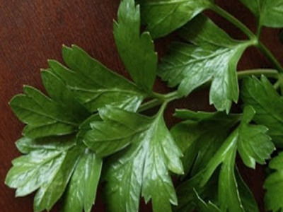 Μαϊντανός: Δεν είναι τυχαίο που πάει με όλα!