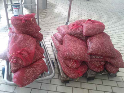 Χειροπέδες για παράνομα μαλάκια!