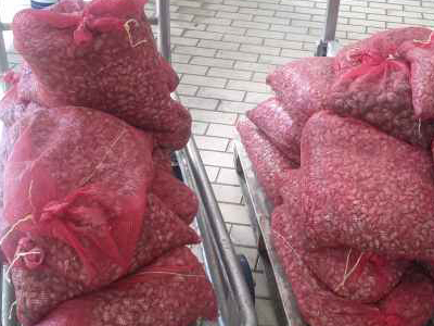 Τα παράνομα μαλάκια τον έστειλαν στα κρατητήρια