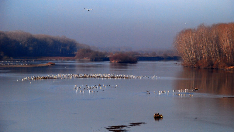 Ρύθμιση για τα αναχώματα των ποταμών Έβρου, Άρδα και Ερυθροποτάμου
