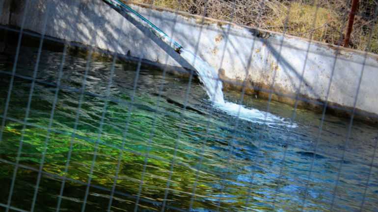 Καρδίτσα: Βρέθηκε νεκρός μέσα σε δεξαμενή