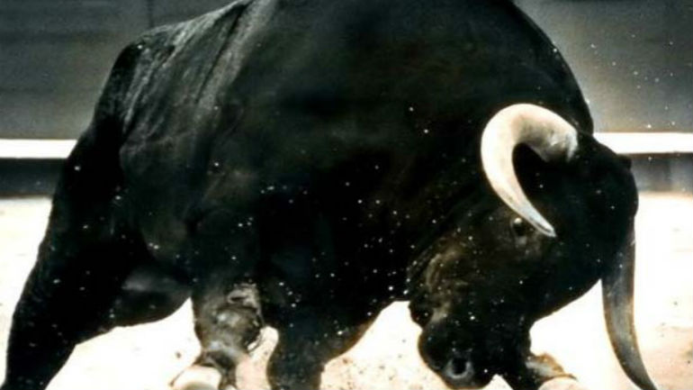 Τρίκαλα: Ταύρος σκόρπισε τον πανικό -Ένας άνθρωπος στο νοσοκομείο