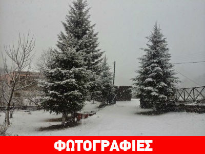 Είδαν… άσπρη μέρα στα ορεινά της Ξάνθης