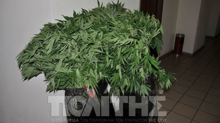 Χίος: Η αστυνομική έρευνα έβγαλε λαβράκι