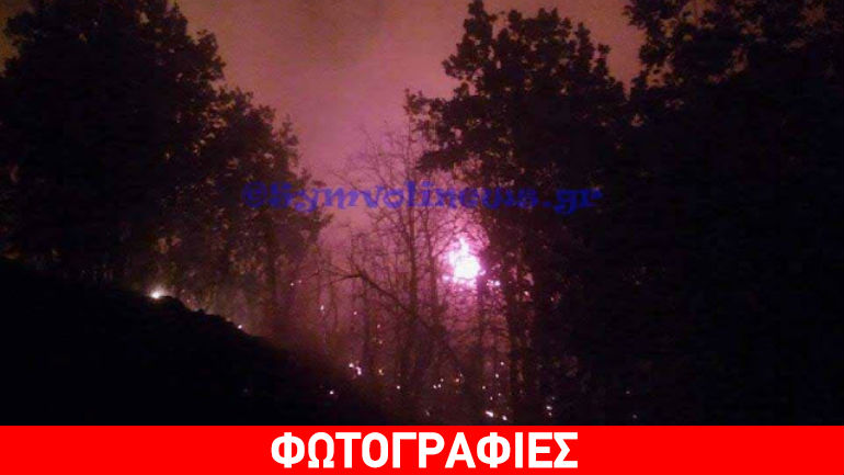 Κέρκυρα: Μεγάλη πυρκαγιά στο χωριό Πόρτες