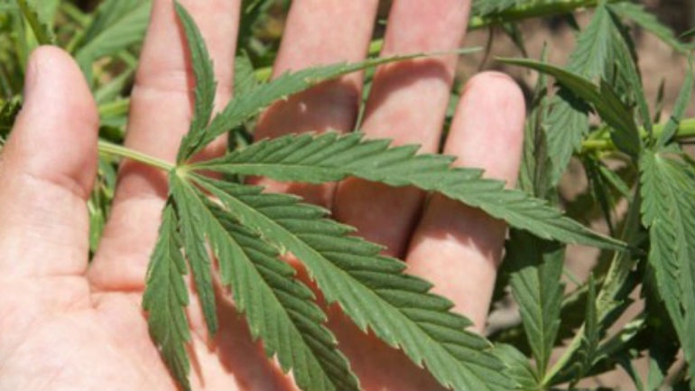 Κρήτη: Μπαράζ συλλήψεων για ναρκωτικά