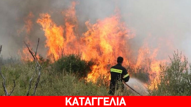 Αίγινα: Πυρκαγιά σε χώρο στάθμευσης στον Άγιο Νεκτάριο – Ο δήμος τον είχε μετατρέψει σε σκουπιδότοπο