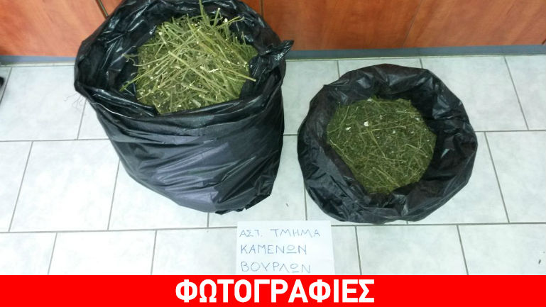 Τους έπιασαν στα Καμένα Βούρλα με τρία κιλά κάνναβης