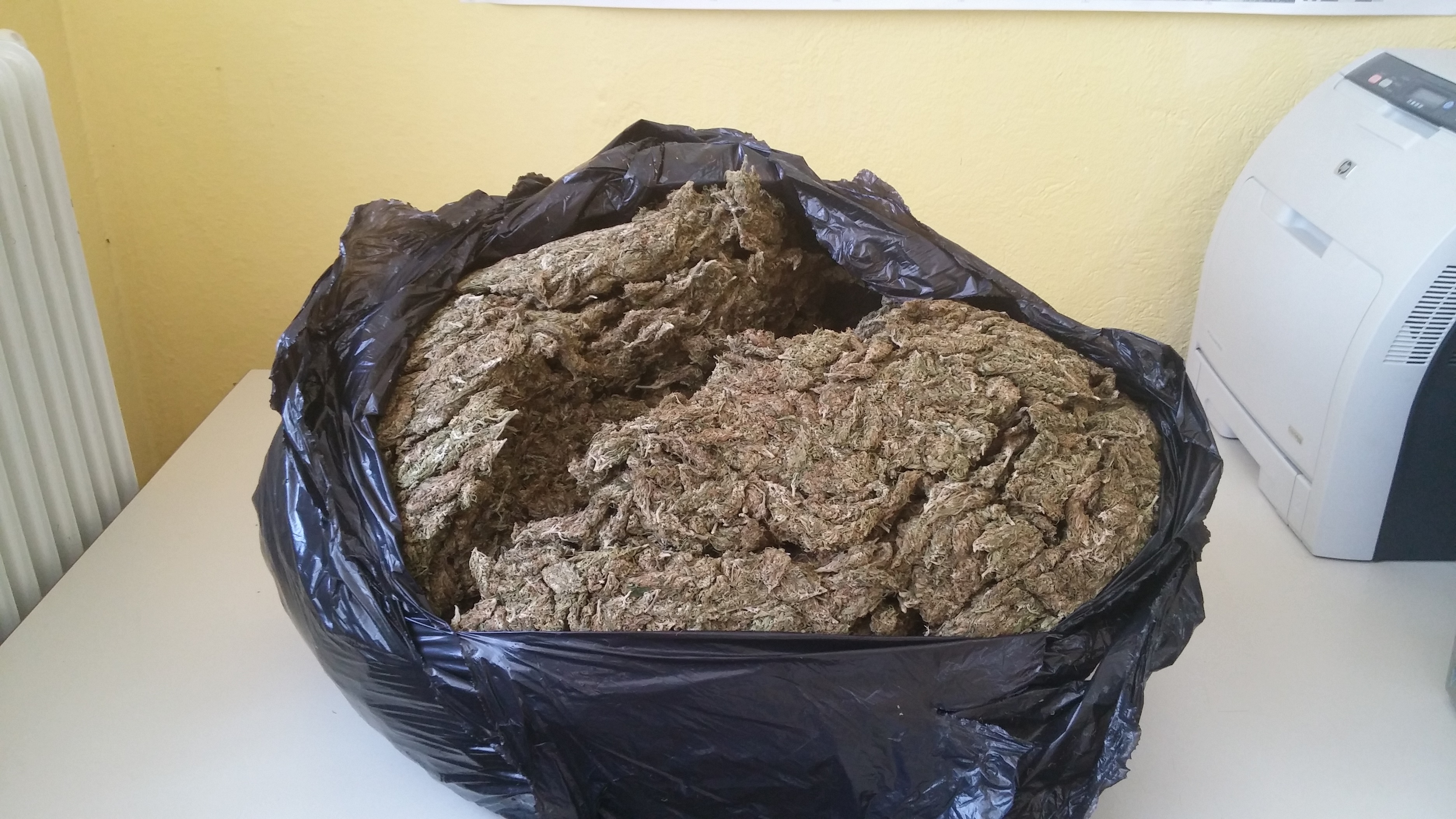 Φλώρινα: Μετέφερε στην Ελλάδα πάνω από επτά κιλά κάνναβης