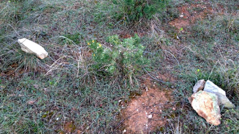 Λασίθι: Πλήρωσε ακριβά… τους λαγούς