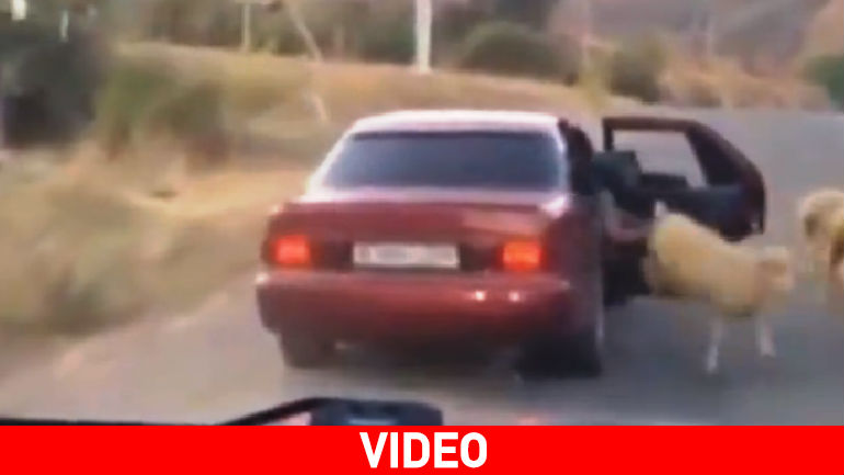 Προμηθεύτηκε τον οβελία του Πάσχα… οικονομικά