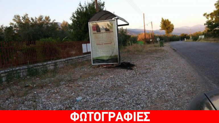 Φρίκη στο Αγρίνιο: Έκαψαν σκυλί σε στάση λεωφορείου