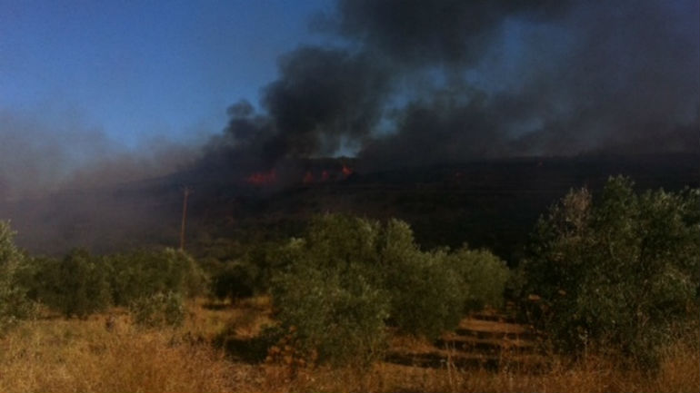 Λαμία: Πυρκαγιά σε δασική έκταση