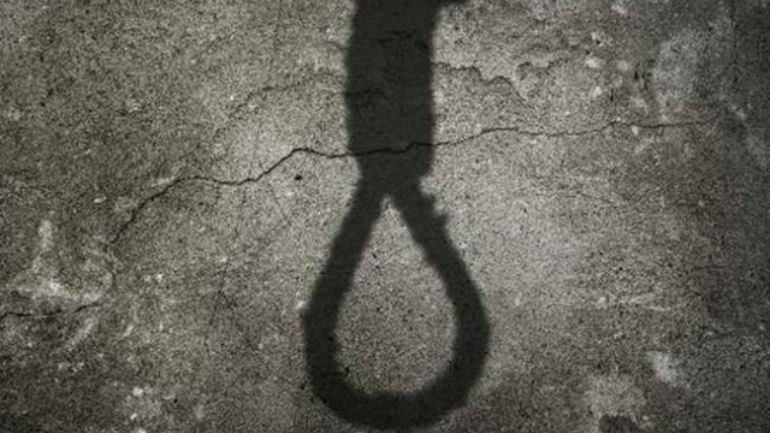 Σοκ στη Λαμία: Βρήκε τον γιο της κρεμασμένο από ελιά