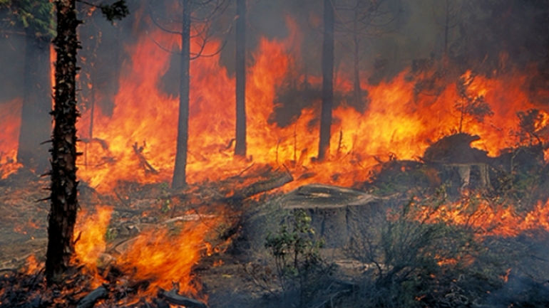 Δυτική Ελλάδα: «Απαγορεύονται» οι πυρκαγιές την Κυριακή