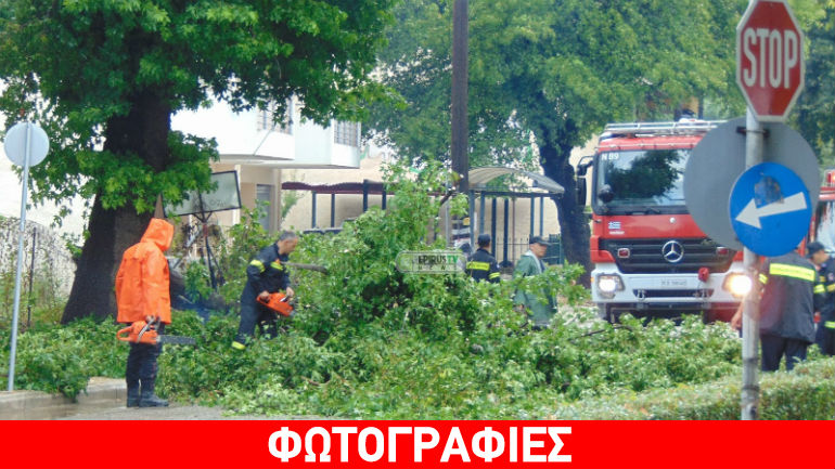 Ιωάννινα: Ευτυχώς που δεν περνούσε αυτοκίνητο…