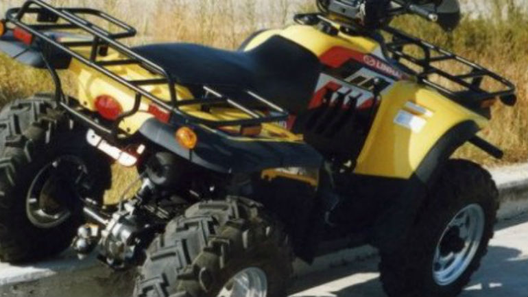 Ηράκλειο: Τουρίστες έπεσαν σε γκρεμό με γουρούνα