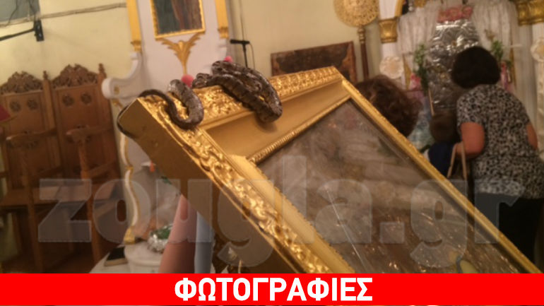 Κεφαλονιά: Τα φιδάκια της Παναγίας εμφανίστηκαν σε δύο χωριά