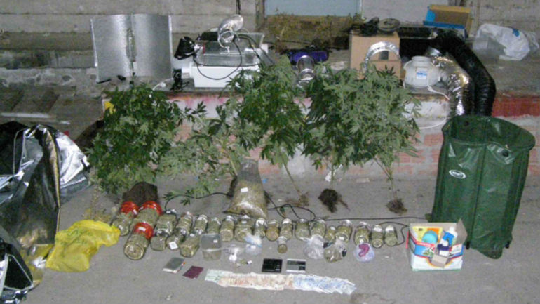 Χειροπέδες για high-tech καλλιέργεια κάνναβης