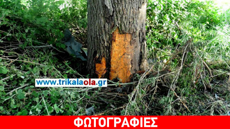 Τρίκαλα: Νεκρός 54χρονος σε τροχαίο